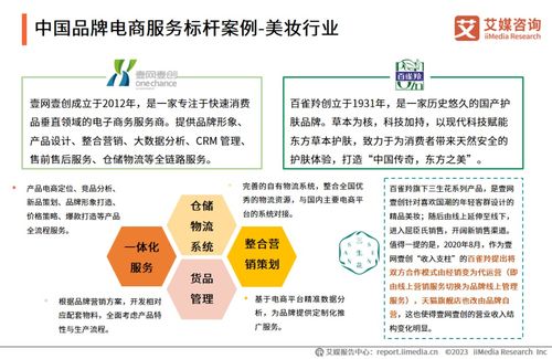 2023年中國(guó)品牌電商服務(wù)行業(yè)深度解析 艾媒咨詢報(bào)告中的信息咨詢服務(wù)洞察