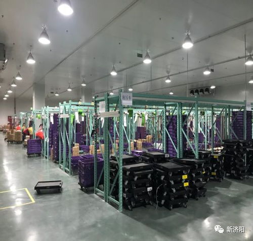 智能系統賦能，我區企業高效服務全省200余家統一銀座倉儲配送